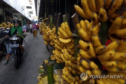 인도네시아 바나나 판매상가 [EPA=연합뉴스]