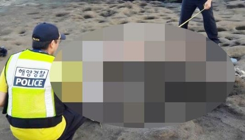 고래 사체 조사하는 해경