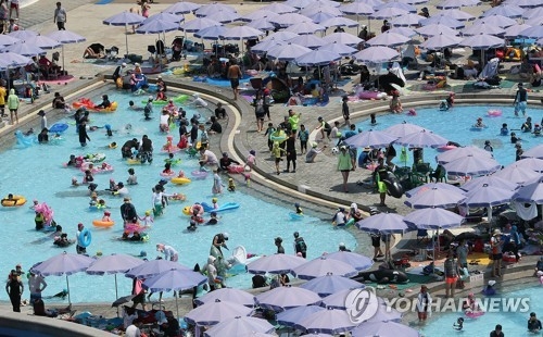 '빼곡한 파라솔 숲 사이로'