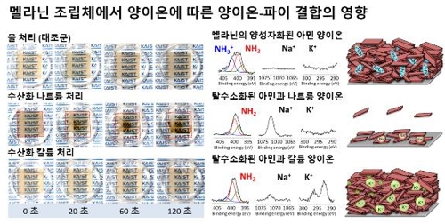 양이온이 양이온-파이결합에 미치는 영향