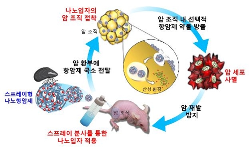 홍합 단백질 기반 항암 초미세입자의 작용