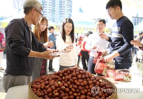 보은 대추축제
