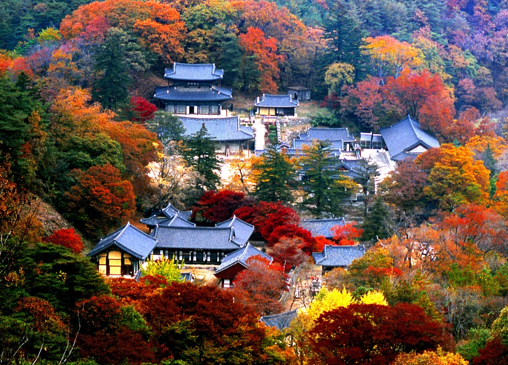 마곡사 가을 전경