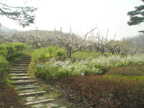 중랑 캠핑숲