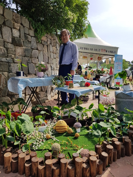 곡성 토란 화분 선보이는 유근기 곡성 군수