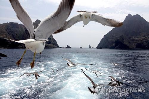 독도 갈매기