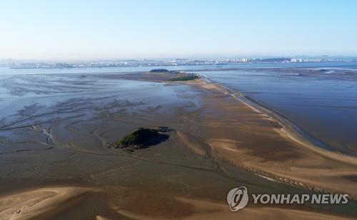 서천 유부도 갯벌