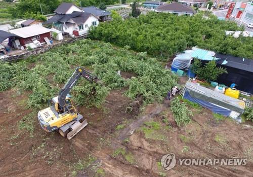 폐원 조치되는 춘천 사과농장