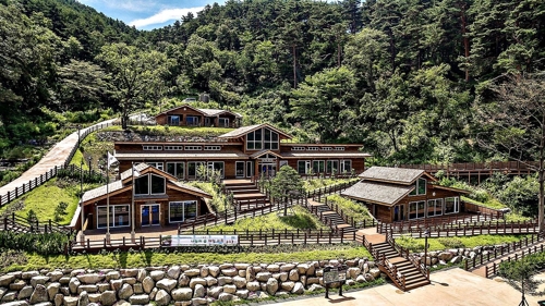 국립 대관령 치유의 숲 전경
