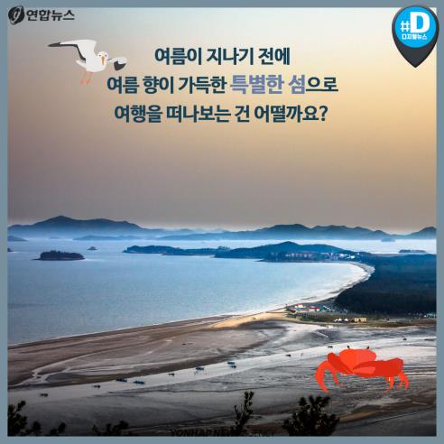 [카드뉴스] 여름 향 가득… 휴가철 전남도 섬 여행 5선 - 14