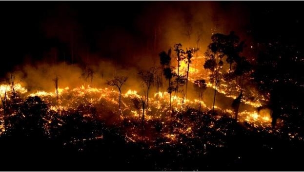 아마존 열대우림에서 발생한 산불 [국제횐경단체 그린피스]