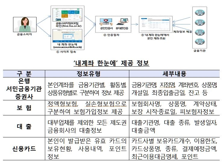 (금감원 제공)
