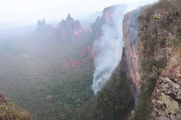아마존 열대우림 산불