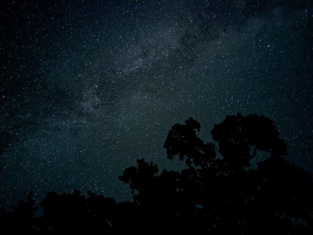 구글 '픽셀4'로 촬영한 밤하늘 사진. [출처=구글 홈페이지]