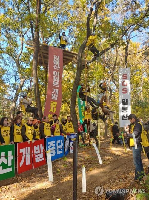 참나무 위 농성