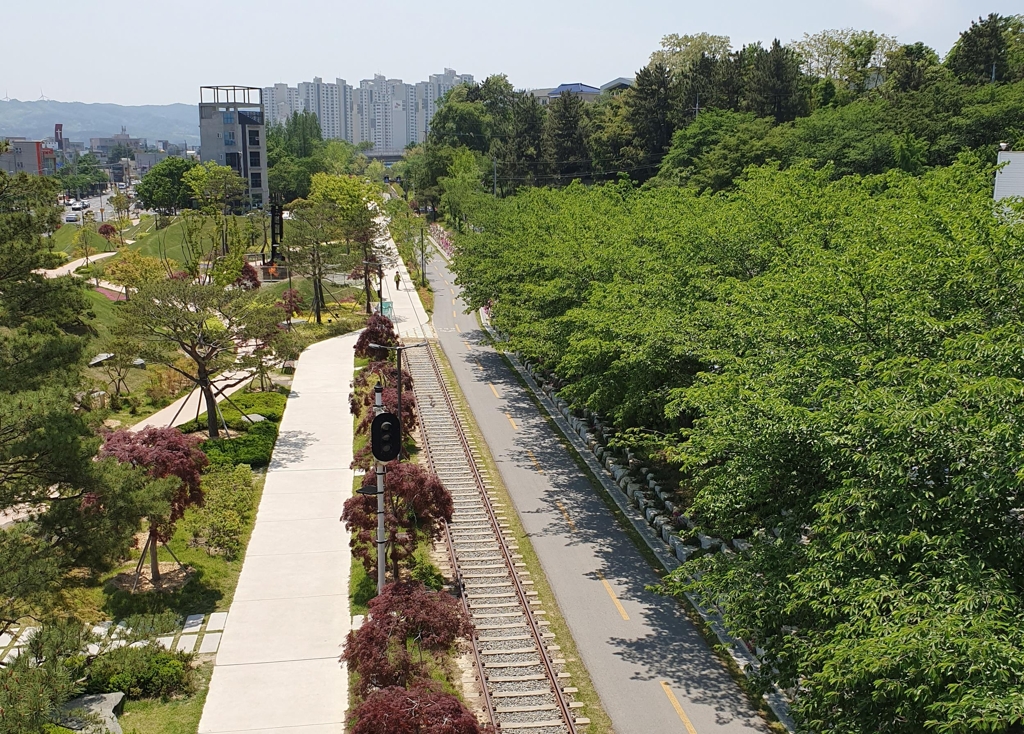 포항 철길숲 봄 풍경