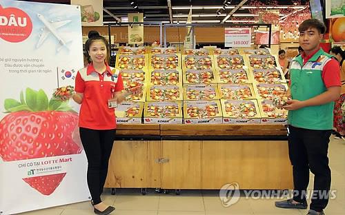 베트남 마트에서 팔리는 한국 딸기