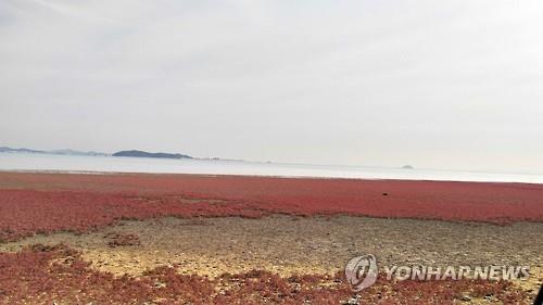 대부도 갯벌