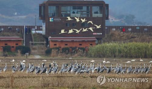 주남 저수지 철새 탐조대