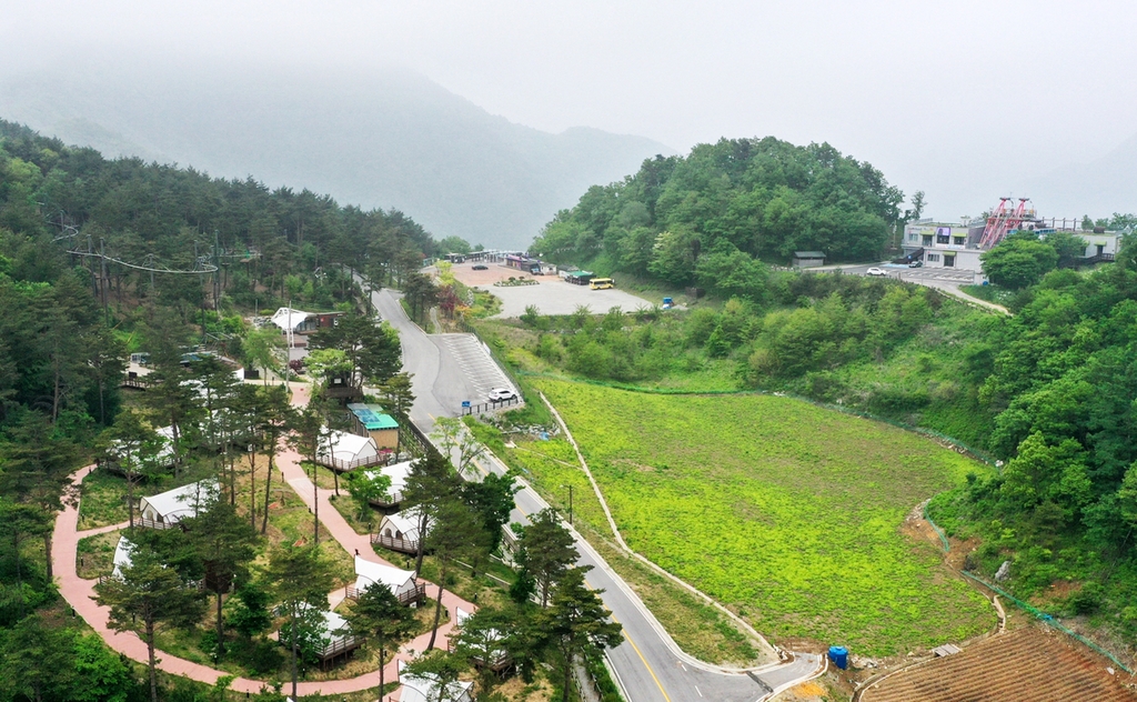 동강 녹색 모험의 숲
