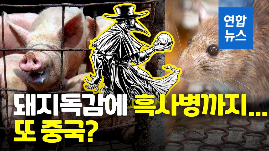 [영상] 코로나에 돼지독감·흑사병까지…또 중국? - 2