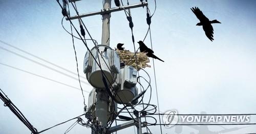 전신주(PG)