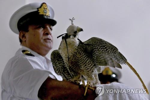 파키스탄서 멸종위기 '매' 75마리 해외 밀반출 차단