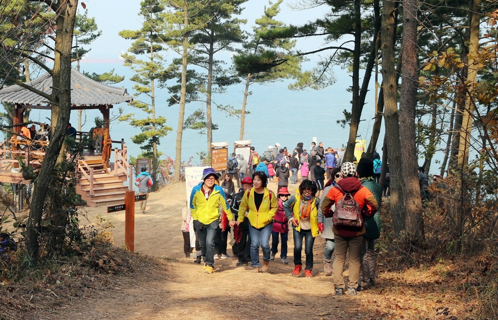 제3회 태안 솔향기길 축제 장면
