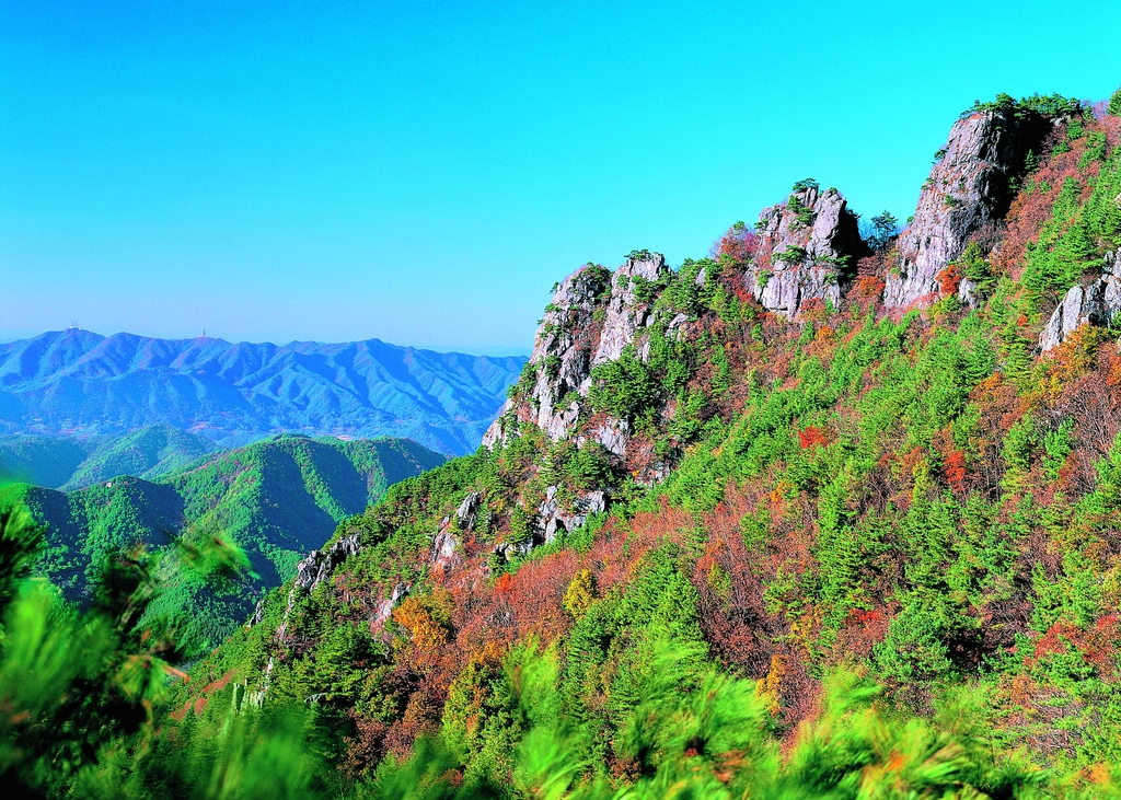금산 10경에 포함된 서대산