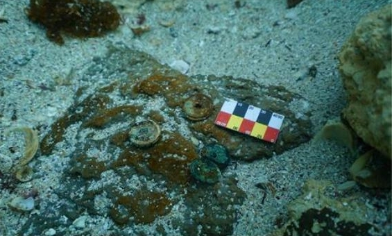 제주 신창리 해역에서 발견된 중국 동전