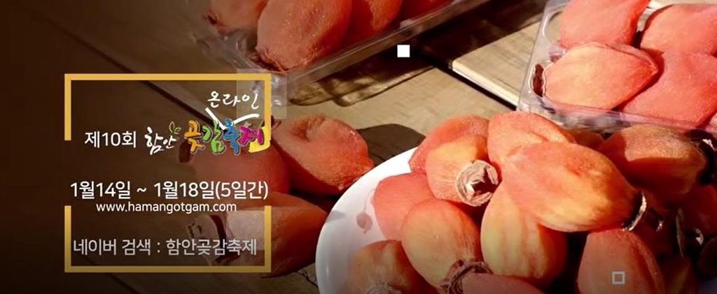 함안곶감축제