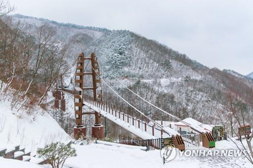 좌구산 휴양림 구름다리