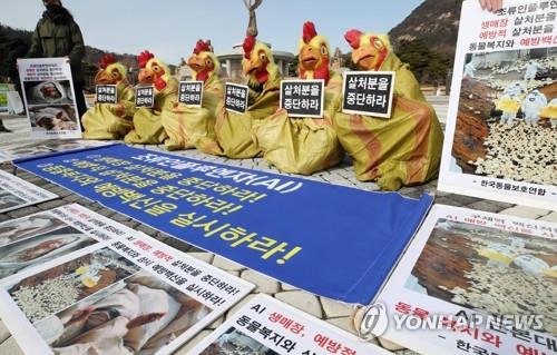 '예방적 살처분은 동물 학대다'