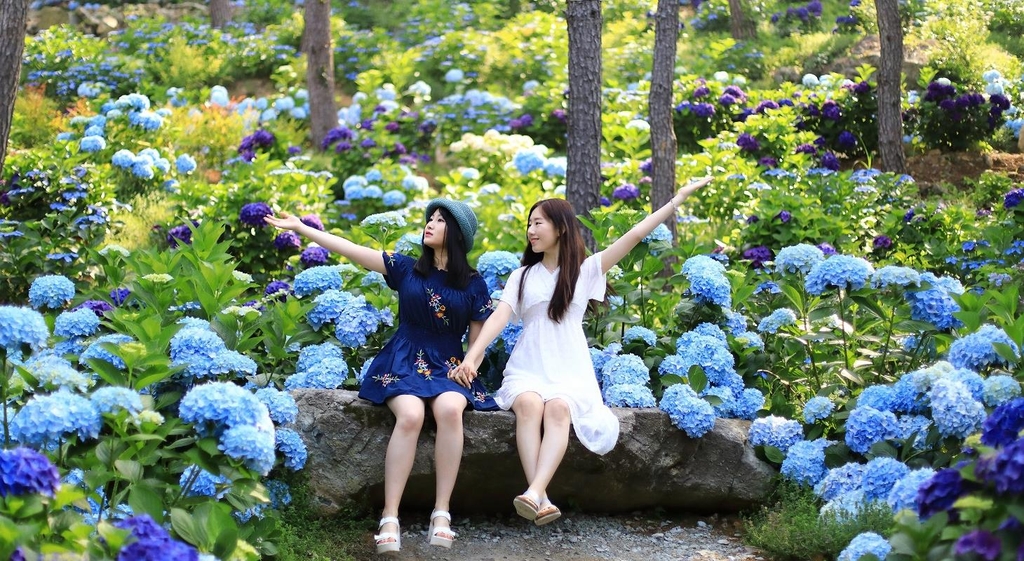 해남 포레스트 수목원