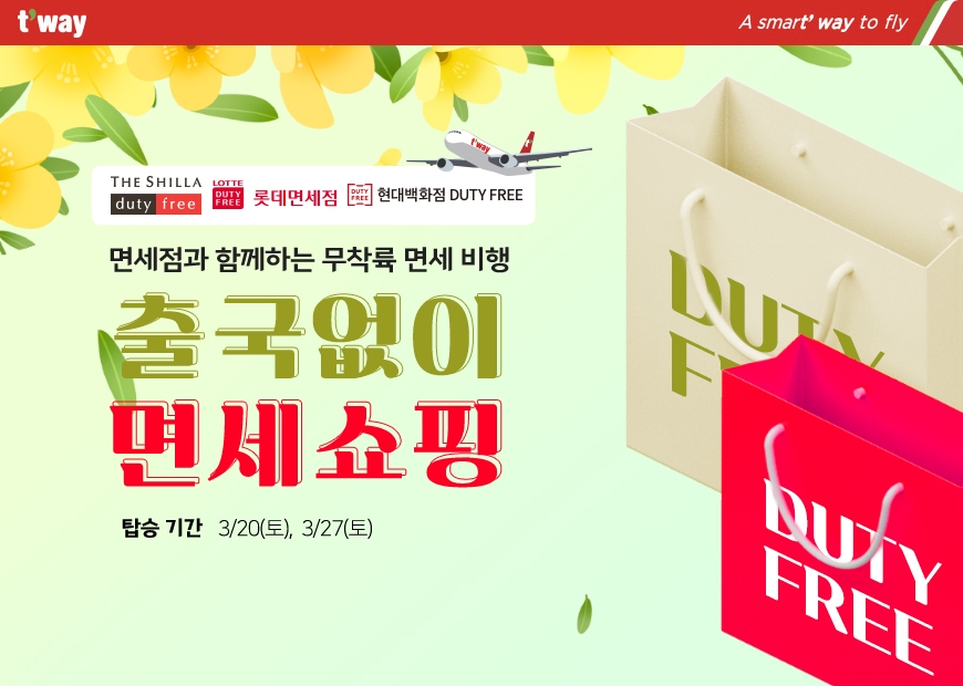 국제 관광비행