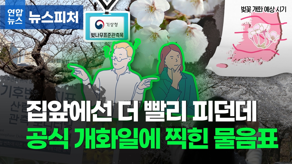 [뉴스피처] 3월 29일? 4월 2일?…경기도 첫 벚꽃 핀 진짜 날짜는 - 2