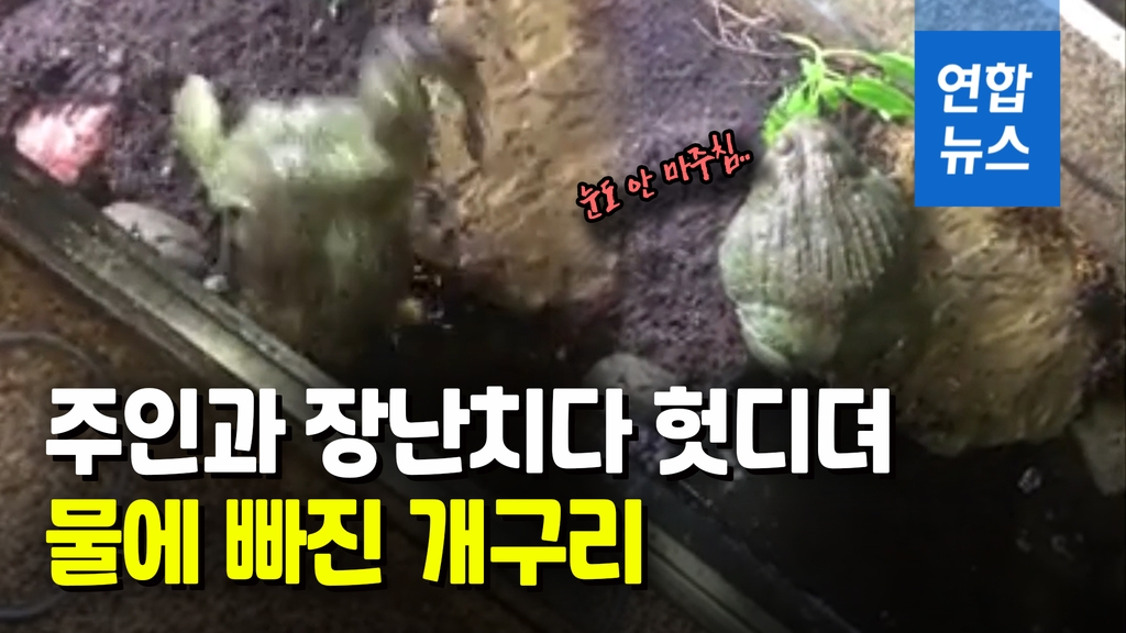[영상] 황소개구리 물세례에 육탄 공격…체면 구겨 - 2