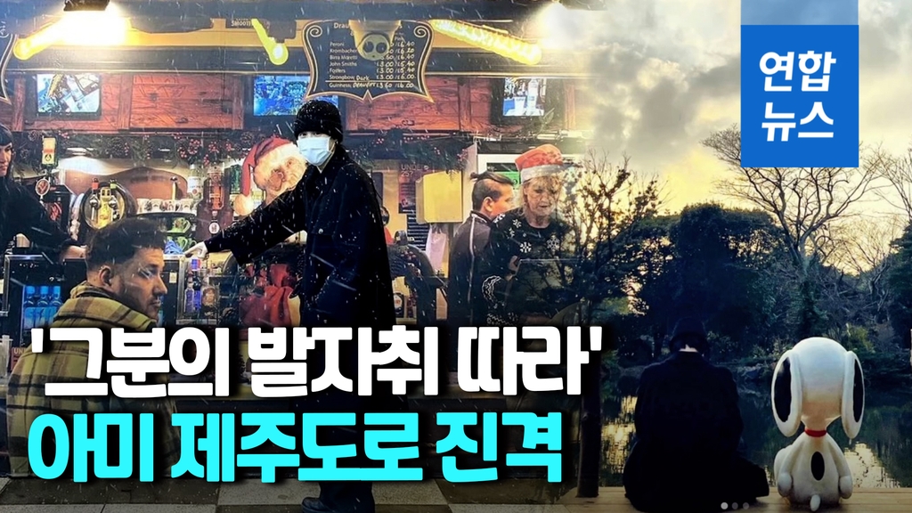 [영상] BTS 지민 찾은 제주, 관광도 '웃고' 팬들도 '뿌듯' - 2