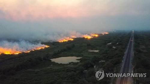 브라질 판타나우 불타는 숲