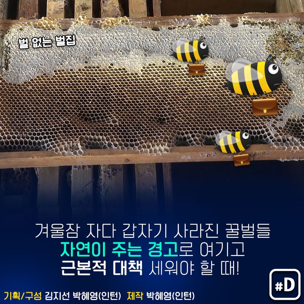 [포켓이슈] '꿀벌 실종 사건', 하늘로 솟았나 땅으로 꺼졌나 - 10