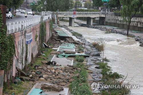 처참한 도림천 산책길