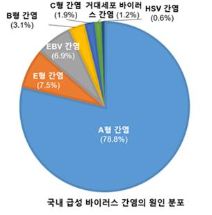 [분당서울대병원 제공. 재판매 및 DB 금지]