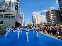 브라질 상파울루 최대 문화 축제에서 태권도·K팝 댄스 인기몰이