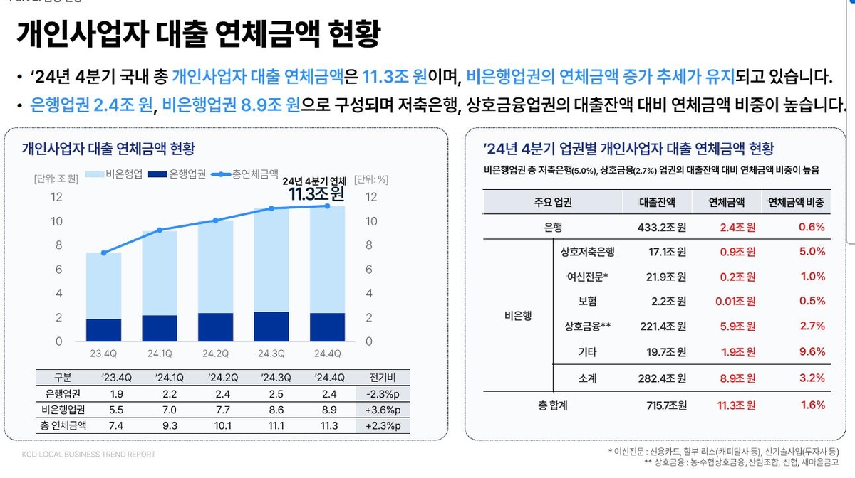 개인사업자 대출 연체금액 현황