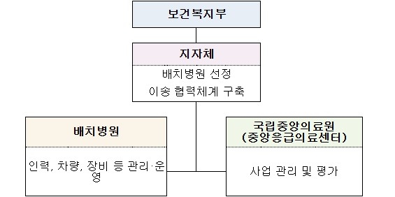 중증환자 병원 간 이송체계 구축 시범사업 추진 체계