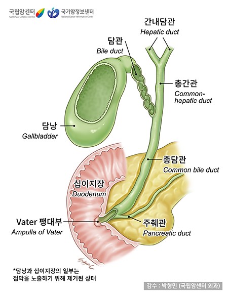 [국립암센터 제공]