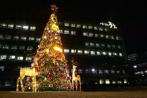 서울 중구, 크리스마스 트리에 불 밝히며 12월 열었다 - 1