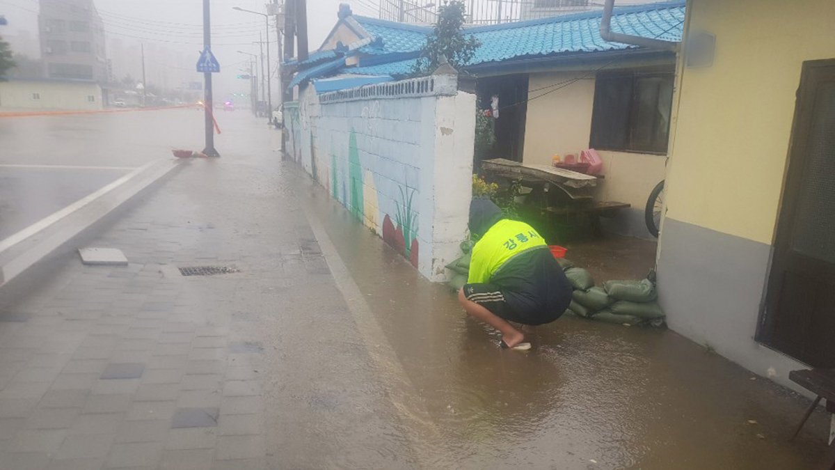 강원 동해안에 호우경보…강풍 동반한 많은 비