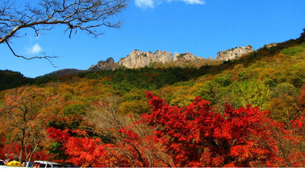 다음주 설악산부터 첫 단풍…국립공원 방역 비상
