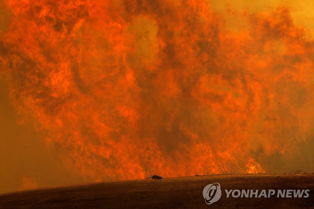APTOPIX California Wildfires